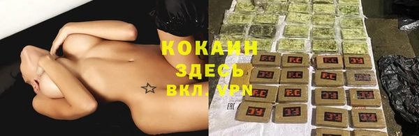 прущая мука Арсеньев