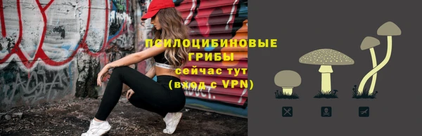 прущая мука Арсеньев